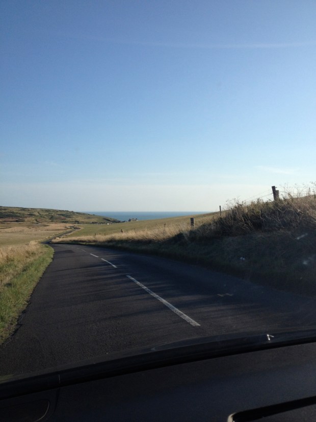 The fields leading up to the cliffs seemed to roll on forever, all of them full of sheep.