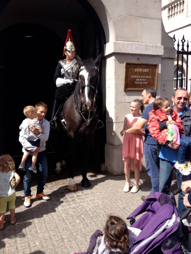 Snapped this photo for my babies.