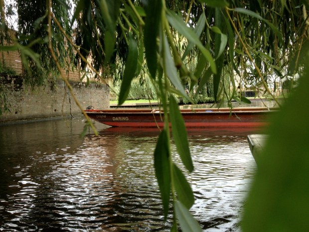 Idyllic. Also, willows. Same thing, I guess.