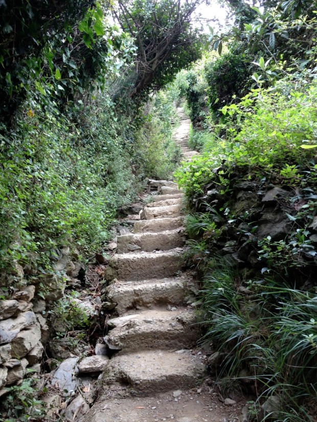 A large percentage of this trail was stairway. You can see in other photos the height of these foothills as they jut into the water. The Cinque Terre are five of these mountain arms, each with its own village at the tip. So we hiked up the side of one and back down again, from sea level to sea level.