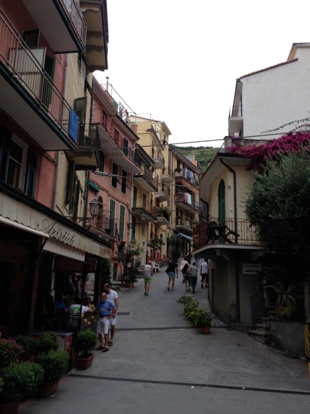 Manarola, as we walked back toward the next train, bound for Riomaggiore.