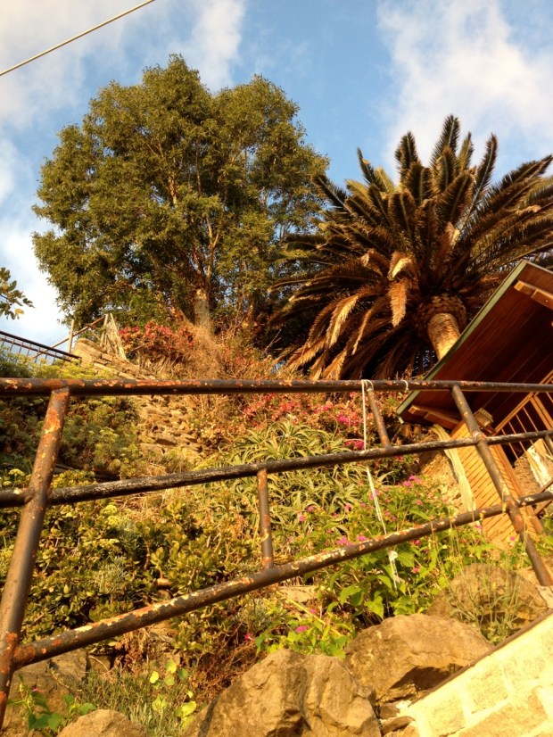This was looking straight up the hill from our table at the little cafe we found. Having walked off our gelato we were ready to look for a place to eat a nice dinner. The only essential was that it be right on the water so we could watch the sun set. Unfortunately we didn't get a nice restaurant, but we got the location and we weren't about to give that up.