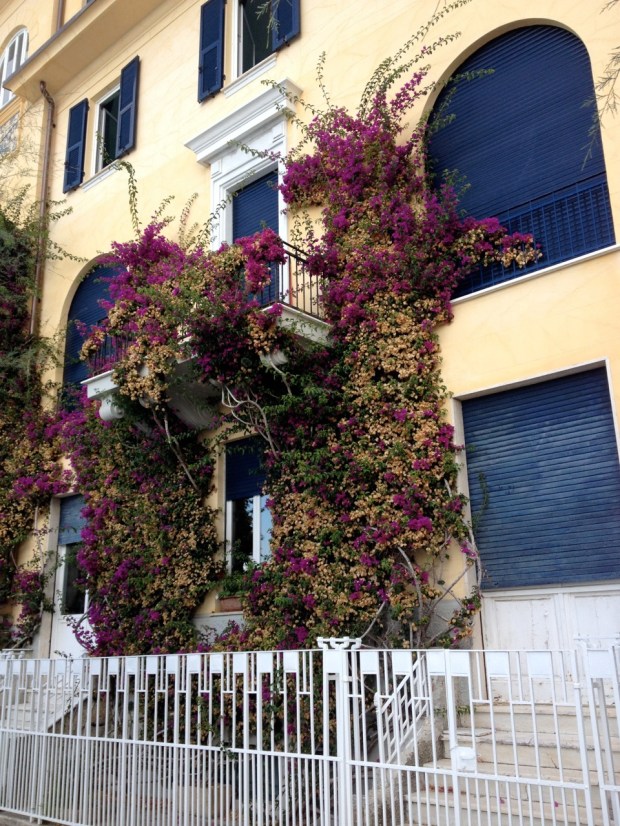 This was my favorite building of all in Monterosso. It was even more lovely seen from a distance when we were swimming out in the water. The gold walls with bougainvillea climbing them were so dramatic and so quintessentially Italian.